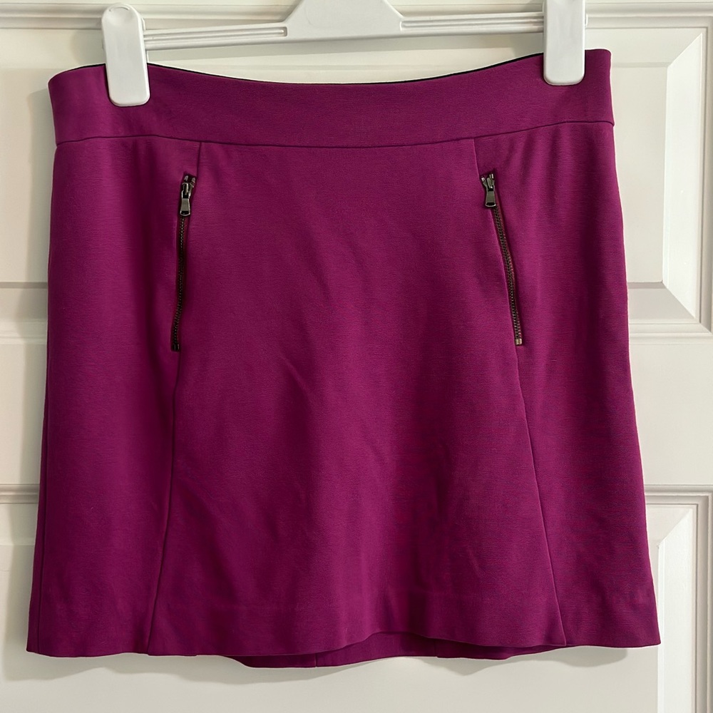 Ann Taylor Purple Skirt